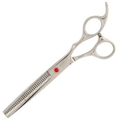Profesionalios žirklės plaukų kirpimui цена и информация | Расчески, щетки для волос, ножницы | pigu.lt