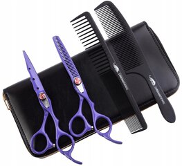 Plaukų šukų ir žirklių rinkinys Exo Hairdressers kaina ir informacija | Šepečiai, šukos, žirklės | pigu.lt