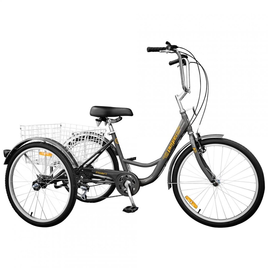 Miesto dviratis Pegasus 24", juodas kaina ir informacija | Dviračiai | pigu.lt