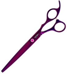 Profesionalios žirklės plaukų kirpimui kaina ir informacija | Šepečiai, šukos, žirklės | pigu.lt