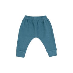 Короткие шорты для мальчиков цена и информация | Спортивные штаны для мальчиков | pigu.lt