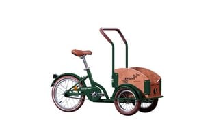 Vaikiškas dviratis Cargo 16", žalias kaina ir informacija | Dviračiai | pigu.lt