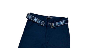Брюки для мальчиков, синие цена и информация | Спортивные штаны для мальчиков | pigu.lt