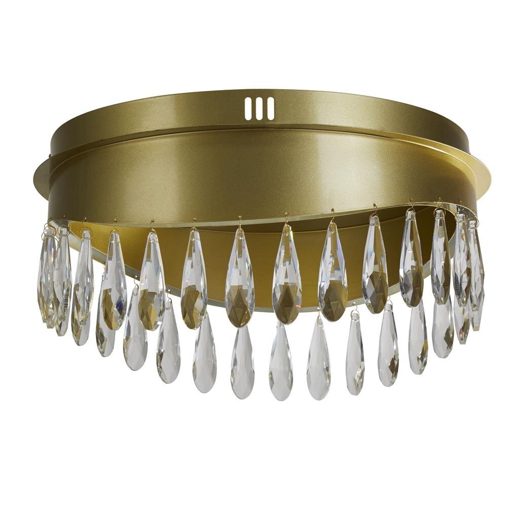 Searchlight lubinis šviestuvas Jewel LED 19211-1GO цена и информация | Lubiniai šviestuvai | pigu.lt