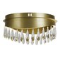 Searchlight lubinis šviestuvas Jewel LED 19211-1GO цена и информация | Lubiniai šviestuvai | pigu.lt