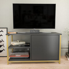 TV stovas Asir, 89,6x35,3x50,8 cm, auksinis/pilkas kaina ir informacija | TV staliukai | pigu.lt