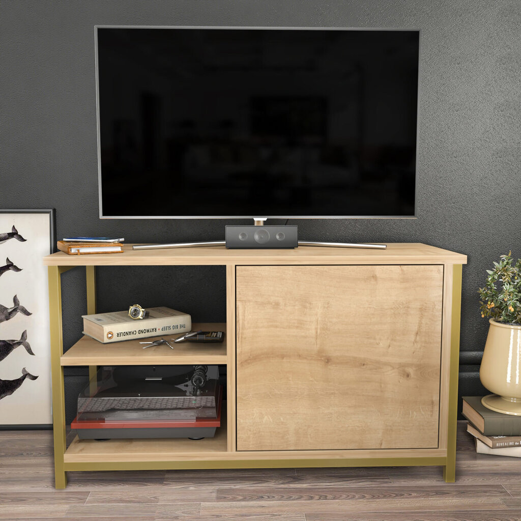 TV stovas Asir, 89,6x35,3x50,8 cm, auksinis/smėlio spalvos kaina ir informacija | TV staliukai | pigu.lt