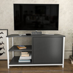 TV stovas Asir, 89,6x35,3x50,8 cm, baltas/pilkas kaina ir informacija | TV staliukai | pigu.lt