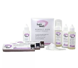 Набор краски для бровей HAIRWELL Perfect Eyes AF-10852 цена и информация | Карандаши, краска для бровей | pigu.lt