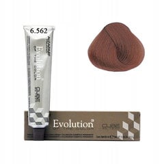 Plaukų dažai Alfaparf Evolution Of The Color Cube 6.562 Dark Mahogany, 60ml цена и информация | Краска для волос | pigu.lt