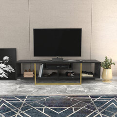 TV stovas Asir, 150x35,2x40 cm, juodas/auksinis kaina ir informacija | TV staliukai | pigu.lt