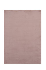 Vercai Rugs kilimas Easy 160x220 cm kaina ir informacija | Kilimai | pigu.lt