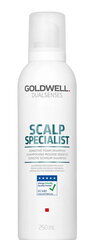 Šampūnas Goldwell DLS Scalp Sensitive Foam, 250 ml kaina ir informacija | Šampūnai | pigu.lt