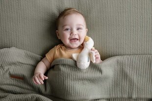 Cypsintis žąsiukas Little dutch kaina ir informacija | Žaislai kūdikiams | pigu.lt