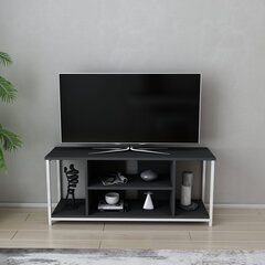 TV stovas Asir, 120x35x50,8 cm, baltas/pilkas цена и информация | Тумбы под телевизор | pigu.lt