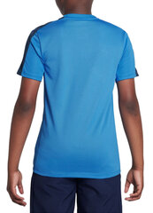 Marškinėliai berniukams Nike DX5482 435, mėlyni kaina ir informacija | Marškinėliai berniukams | pigu.lt