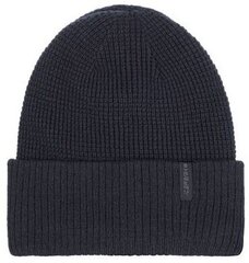 Детская шапка Hesston Icepeak, черный цена и информация | Шапки, перчатки, шарфы для мальчиков | pigu.lt