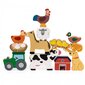 Medinės kaladėlės Viga Ūkio gyvūnai, 12 d. kaina ir informacija | Žaislai kūdikiams | pigu.lt