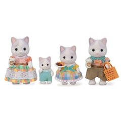 Figūrėlių rinkinys į Sylvanian Families pasaulį su mūsų Latte Cat Family цена и информация | Игрушки для девочек | pigu.lt