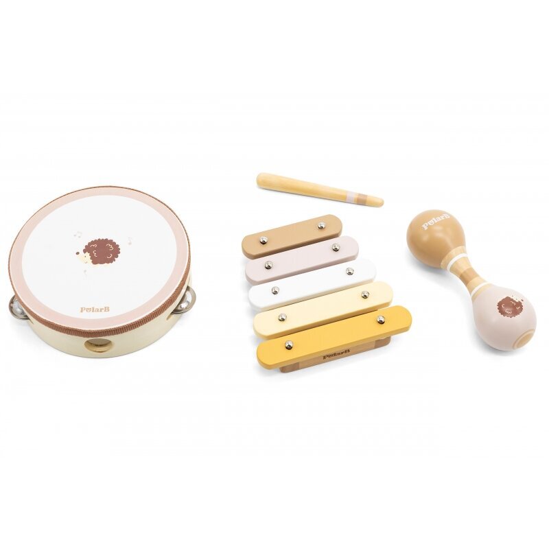 Muzikinių instrumentų rinkinys Viga kaina ir informacija | Lavinamieji žaislai | pigu.lt
