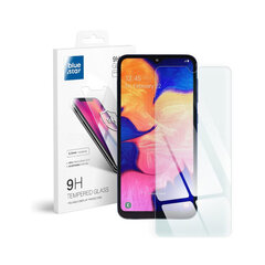 Защитное стекло для Blue Star iPhone 13 Pro Max цена и информация | Защитные пленки для телефонов | pigu.lt