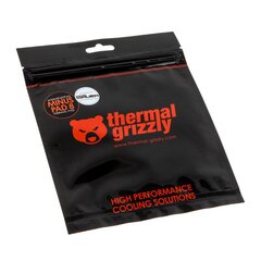 Thermal Grizzly Minus Pad 8 kaina ir informacija | Komponentų priedai | pigu.lt