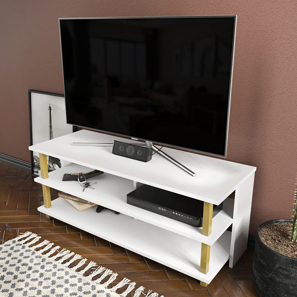 TV stovas Asir, 120x44,6x47,4 cm, auksinis/baltas kaina ir informacija | TV staliukai | pigu.lt
