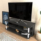 TV stovas Asir, 120x44,6x47,4 cm, baltas/pilkas kaina ir informacija | TV staliukai | pigu.lt