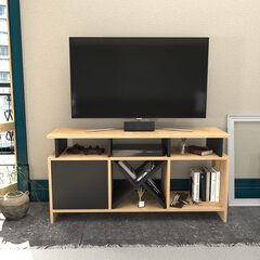 TV stovas Asir, 120x29,9x60,6 cm, smėlio spalvos/pilkas цена и информация | Тумбы под телевизор | pigu.lt