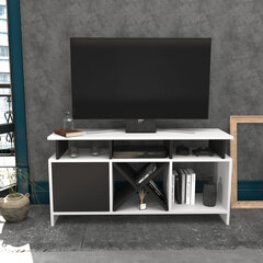 TV stovas Asir, 120x29,9x60,6 cm, baltas/pilkas kaina ir informacija | TV staliukai | pigu.lt