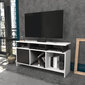 TV stovas Asir, 120x29,9x60,6 cm, baltas/pilkas kaina ir informacija | TV staliukai | pigu.lt