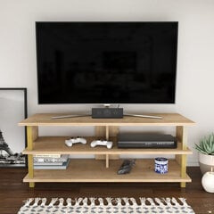 TV stovas Asir, 120x44,6x47,4 cm, auksinis/smėlio spalvos kaina ir informacija | TV staliukai | pigu.lt