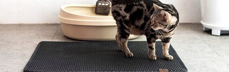 Kilimėlis kačių tualetams Korbi, juodas, XXL kaina ir informacija | Kačių tualetai | pigu.lt