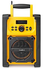 Nedis RDFM3100YW цена и информация | Радиоприемники и будильники | pigu.lt