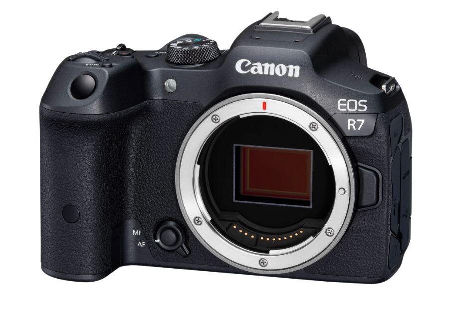 Canon EOS R7 kaina ir informacija | Skaitmeniniai fotoaparatai | pigu.lt