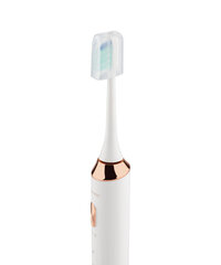 Beautifly B-Toothbrush White Smile kaina ir informacija | Elektriniai dantų šepetėliai | pigu.lt