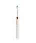 Beautifly B-Toothbrush White Smile kaina ir informacija | Elektriniai dantų šepetėliai | pigu.lt