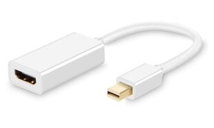 XtendLan Mini DisplayPort цена и информация | Адаптеры, USB-разветвители | pigu.lt