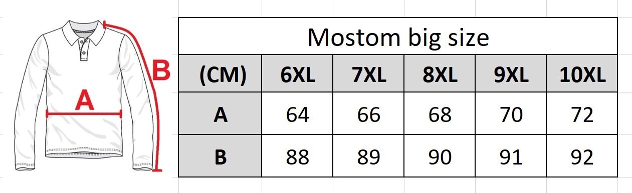 Marškinėliai vyrams Mostom 069-17, pilki цена и информация | Vyriški marškinėliai | pigu.lt