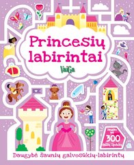 Princesių labirintai kaina ir informacija | Knygos vaikams | pigu.lt