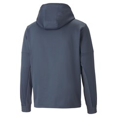 Puma Джемпер Evostripe Full-Zip Mint 847401 50 847401 50/M цена и информация | Мужские термобрюки, темно-синие, SMA61007 | pigu.lt