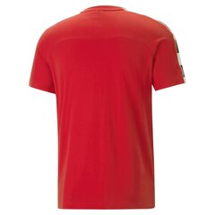 Футболка Puma Evostripe Tee Hig Red цена и информация | Мужские футболки | pigu.lt