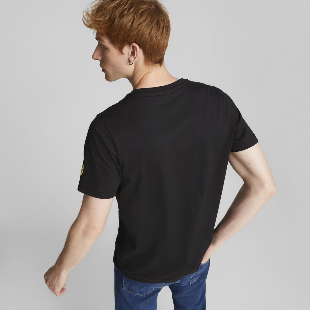 Marškinėliai vyrams Puma, juodi цена и информация | Vyriški marškinėliai | pigu.lt