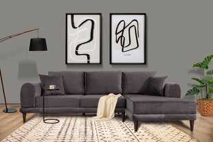 Kampinė sofa-lova Nero - NQ6-185 kaina ir informacija | Sofos | pigu.lt