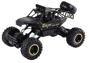 Nuotoliniu būdu valdomas bekelės automobilis 4x4 R/C Monster Truck Lean Toys kaina ir informacija | Žaislai berniukams | pigu.lt