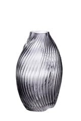 Serenite vaza 26,5 cm kaina ir informacija | Vazos | pigu.lt
