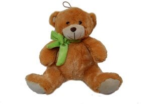 плюшевая игрушка - плюшевый медведь, 50 см цена и информация | Мягкие игрушки | pigu.lt