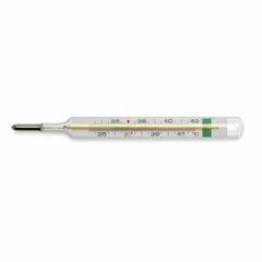 Стеклянный термометр Chicco 171323 цена и информация | Товары для здоровья ребенка | pigu.lt