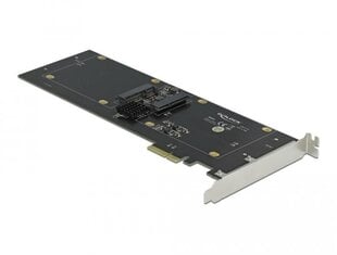 Delock 90433 цена и информация | Внутренние жёсткие диски (HDD, SSD, Hybrid) | pigu.lt