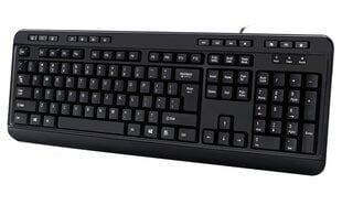 Adesso AKB-132HB цена и информация | Клавиатуры | pigu.lt